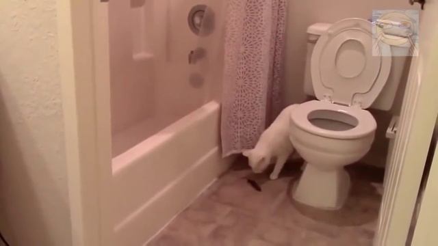 Misson failed смотреть онлайн