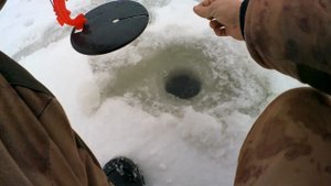 НЕ УСПЕЛ РАССТАВИТЬ ЖЕРЛИЦЫ А ФЛАЖКИ УЖЕ ГОРЯТ. зимняя рыбалка 2022-2023