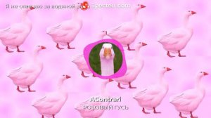 Розовый гусь (Песня)