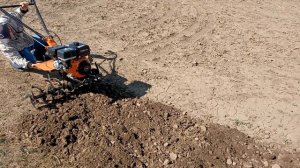 Мотокультиватор Пахарь TCP-1000PH в деле.