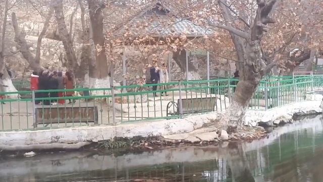 Бугун 15 12 2021 чили чор чашма смотреть онлайн