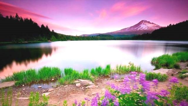 ВЕСЕННИЙ РОМАНС! Dmitry Metlitsky - Beatiful Romantic Instrumental music смотреть онлайн