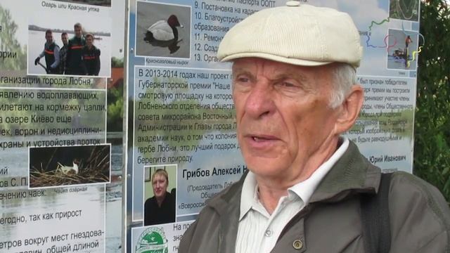 Юрий Красильников: «Чайки возвращаются на озеро Киово»