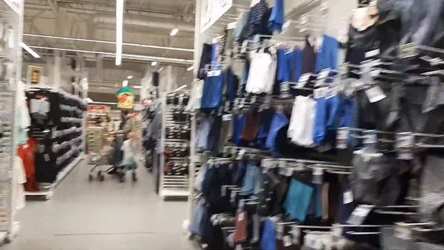 ВЛОГ. Съездили в Брянск. Покормили собачку. Купили елку.