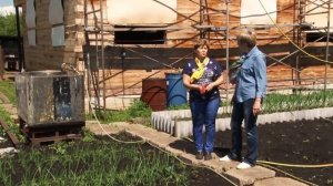 Бархатцы защищают посадки от вредителей