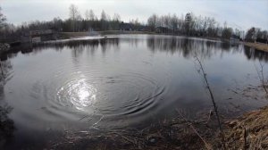 Ловля ручьевой форели. Взял первых рыбок в этом году. Красивое место, где живет Ручьевая Форель.