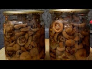 Маринованные грибы рыжики, на зиму.