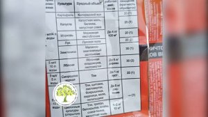 Профилактическая обработка саженцев лимонов от тли в Павловском питомнике растений