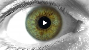 Некоторые мои работы в одном ролике "SHOWREEL"