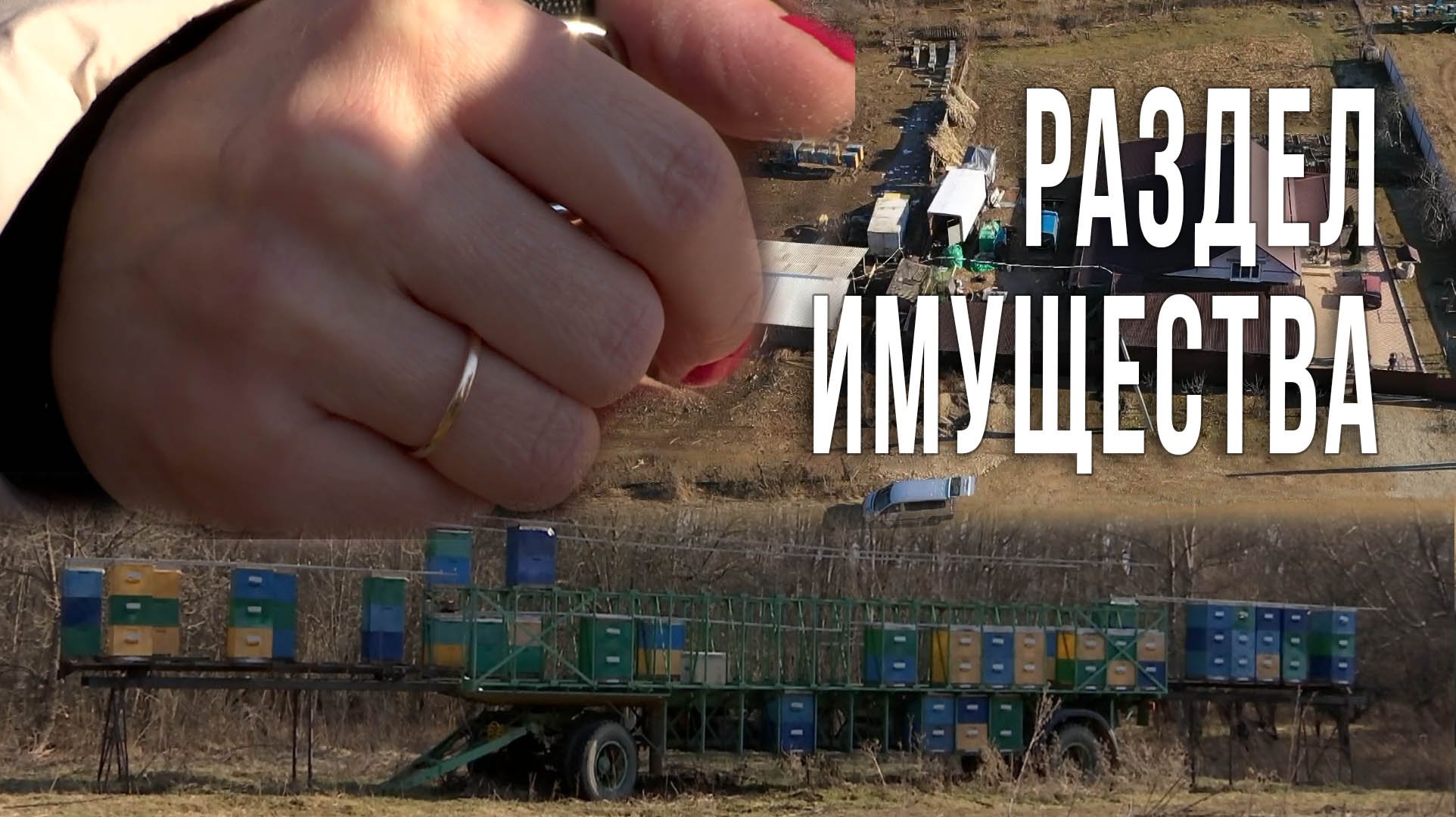 Бывшие супруги делят имущество