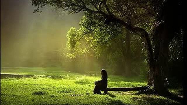 Лакшми_ Ищется сам ищущий -Кто тут? смотреть онлайн