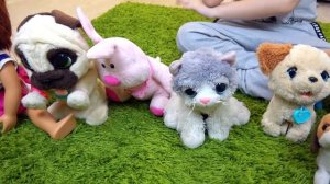 Камиль НЕ УМЕЕТ СЧИТАТЬ! Аминка УЧИТ БРАТА! Для детей kids children