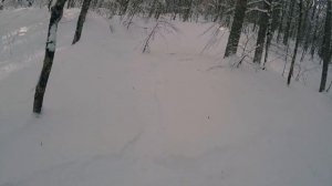 Красная поляна   Сноуборд   Фрирайд  PowderDay's