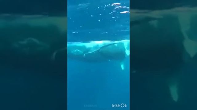 СЕГОДНЯ МЫ БУДЕМ МЕЧТАТЬ... 27.11.2022 Санкт-Петербург смотреть онлайн