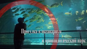 Бархатные сезоны. Прогулка в океанариум и орнитологический парк. Сочи (Адлер) 2021г.