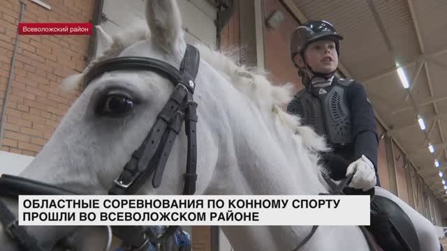 Областные соревнования по конному спорту прошли во Всеволожском районе