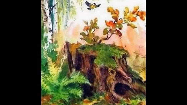 Иллюстрация к сказке катаева пень. Сказка старый пень катаев. Пень рассказ катаева. Старый пень катаев. Старый пень изложение.