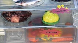 Самые грязные места на кухне. Холодильник. Жить здорово! Фрагмент выпуска от 18.02.2015