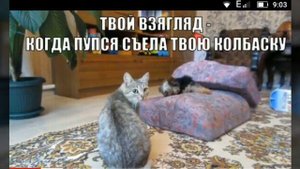 Я люблю А ну-ка давай-ка