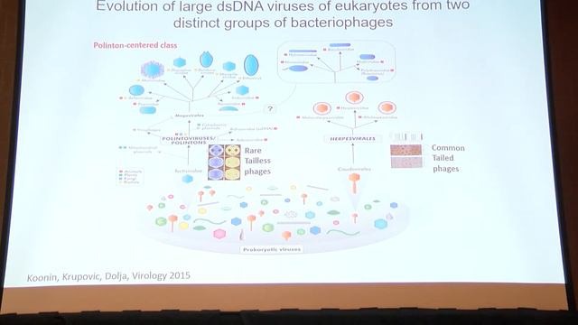 Eugene Koonin at VEGA during the 13th Annual JGI Genomics of Energy & Environment Meeting смотреть онлайн