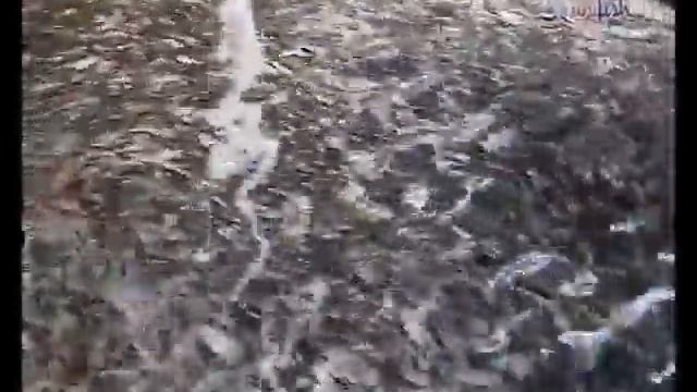 О хозяйстве компании Unifish смотреть онлайн