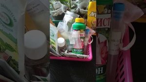удобрения для адениумов
