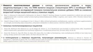 ЧТО МЫ ЗНАЕМ О HMB?