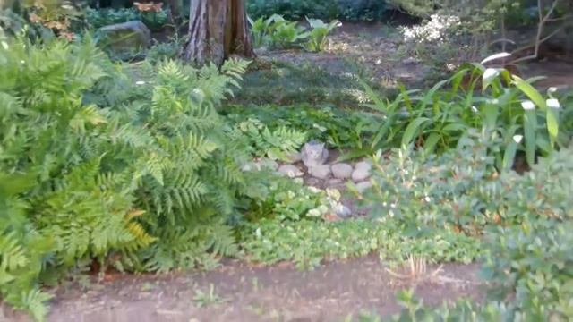 Nikon Coolpix S9100 camera sample video смотреть онлайн