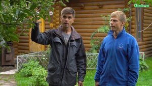 Что делать с деревом если оно не плодоносило в этом году? Как заставить плодоносить в следующем?