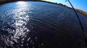 Ловим щуку в сильный ветер! Х Cross и Komomo 2 выручили! 151022