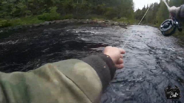 Нахлыст хариус.  Рыбалка в Карелии. Grayling fly fishing