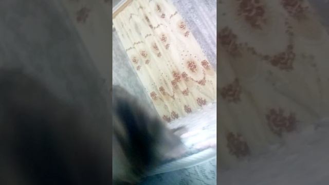 Наша Степанида .. смотреть онлайн