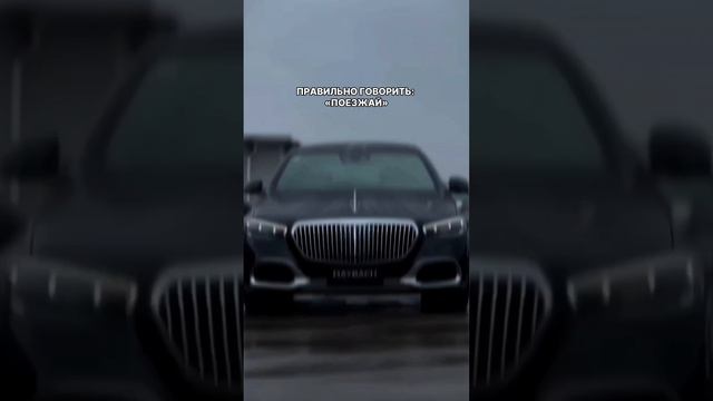 А как бы вы поступили? #shorts