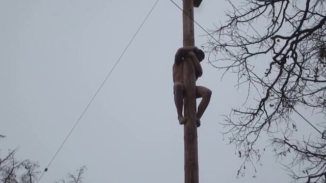 Забава на масленицу. 22.02.2015 г. Орёл смотреть онлайн