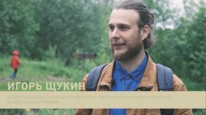 Дождевой сад в Перми