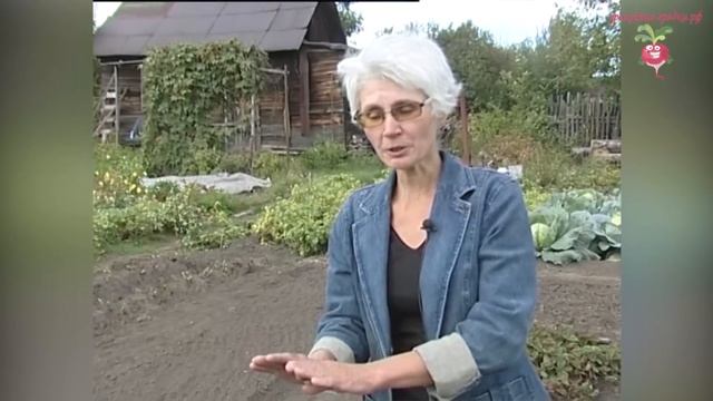 Подготовка грядок осенью #urozhainye_gryadki смотреть онлайн