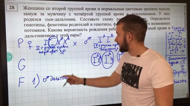 НОВОЕ в ЕГЭ | БИОЛОГИЯ | 28 | Группы крови и сцепленное наследование смотреть онлайн