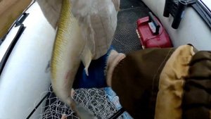 Рыбалка на реке Кия осень 2023