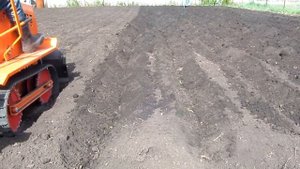 Минитрактор нарезает борозды для картошки.