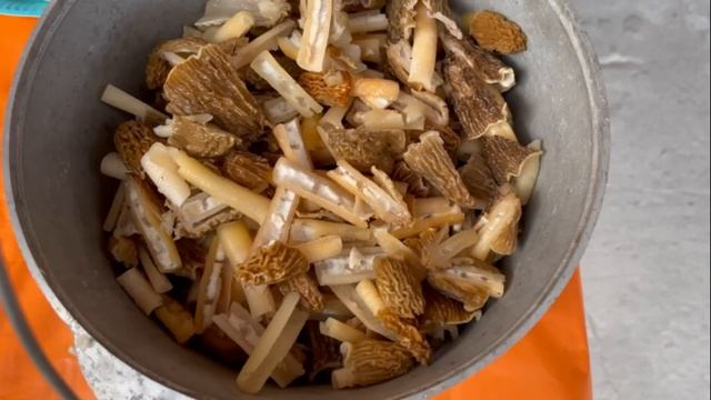 Собираем и готовим ВЕСЕННИЕ ГРИБЫ, РЕЦЕПТ "ЖУЛЬЕН СМОРЧКОВЫЙ" #весенние грибы смотреть онлайн