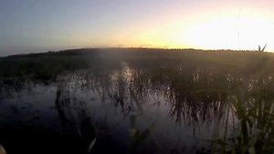 Охота на утку. Сентябрь. Раскаты. 23.09.23.