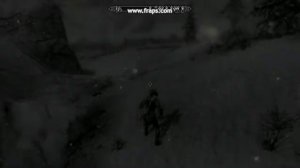 TES V Skyrim. Мигает экран