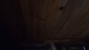 Бюджетная баня своими руками