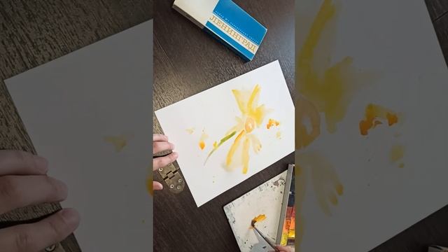 Желтая ромашка или Дороникум акварелью/ Yellow chamomile or Doronicum in watercolor