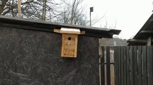 Скворечники и синичники на участке. Как привлечь птиц в сад