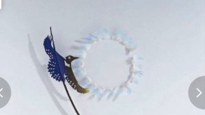 Уникальные изделия из перьев птиц