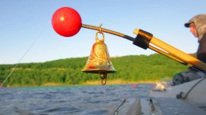 НА ХИТРУЮ СНАСТЬ! ЛОВЛЯ НА СТАРОМ МЕСТЕ! Сомята, подлещики в июле