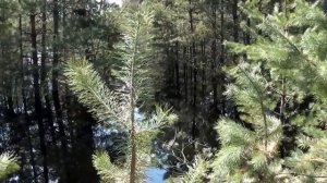 Путешествие по Припяти / Pripyat часть 1. Заброшенные места