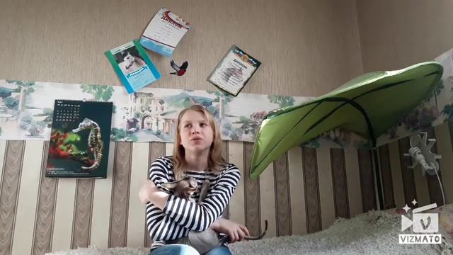 TAG: ИМЕНА ЛОШАДЕЙ смотреть онлайн