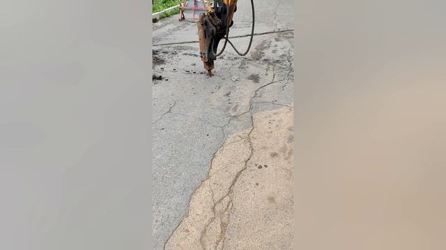 Заря